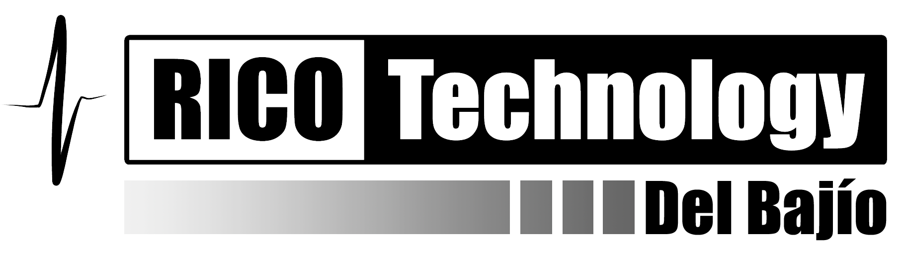 Rico Technology del Bajío